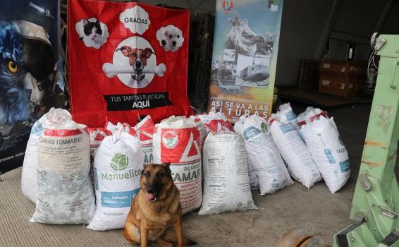 534 kg de material reciclado son transportados por la Fuerza Aérea Colombiana en el Amazonas