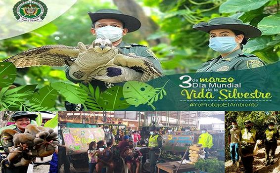 CELEBRAMOS EL DÍA MUNDIAL DE LA VIDA SILVESTRE CELEBRAMOS EL DÍA MUNDIAL DE LA VIDA SILVESTRE