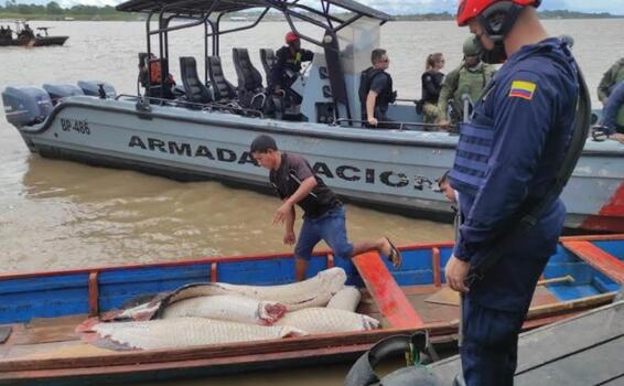 CAPTURADOS TRES SUJETOS POR ATENTAR CONTRA LA BIODIVERSIDAD Y SEGURIDAD EN LA AMAZONÍA. CAPTURADOS TRES SUJETOS POR ATENTAR CONTRA LA BIODIVERSIDAD Y SEGURIDAD EN LA AMAZONÍA.