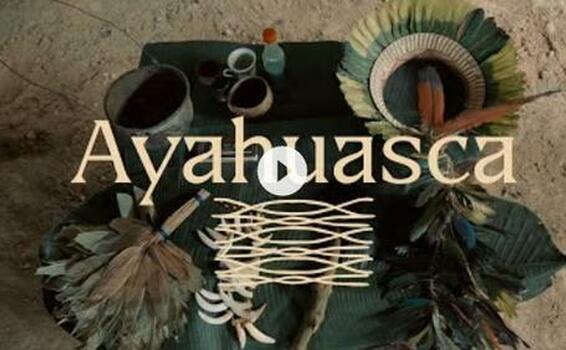 Ayahuasca - Plantas de Poder
