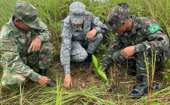 Jornada de reforestación binacional fue apoyada por su Fuerza Aérea en el Amazonas