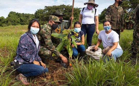 Se adelantó una jornada de “siembra y adopta un árbol