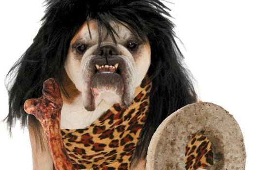 POLICÍA AMBIENTAL, INVITA A LA COMUNIDAD EN GENERAL AL CUIDADO DE SUS MASCOTAS EN LA CELEBRACION DE HALLOWEEN POLICÍA AMBIENTAL, INVITA A LA COMUNIDAD EN GENERAL AL CUIDADO DE SUS MASCOTAS EN LA CELEBRACION DE HALLOWEEN