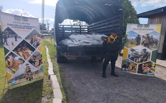 POLICÍA INCAUTA MÁS DE MEDIA TONELADA DE PESCADO MOTA