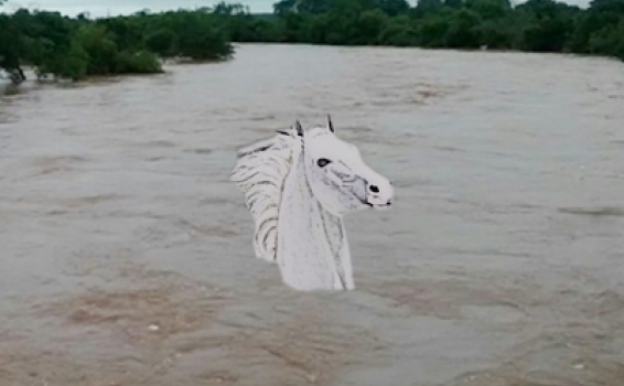 Lendas - O Cavalo Branco Gigante