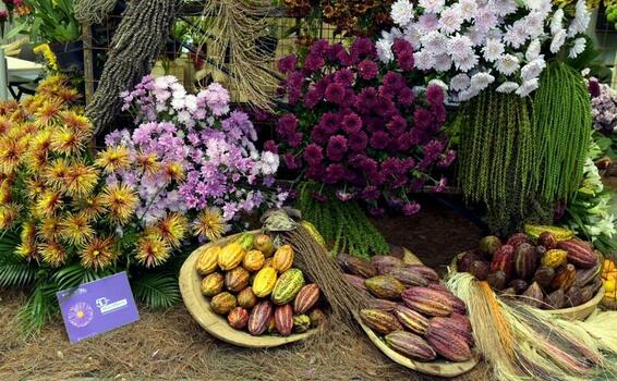 Colombia Exótica: una fiesta de Flores, Frutas y Artesanías que celebra la cultura y la creatividad.