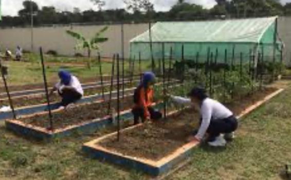 Penitenciária Feminina de Manaus (PFM) participaram do Curso de Jardinagem