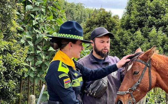 Los cabalLos son animales nobles, inteligentes y sensibles, que Los cabalLos son animales nobles, inteligentes y sensibles, que