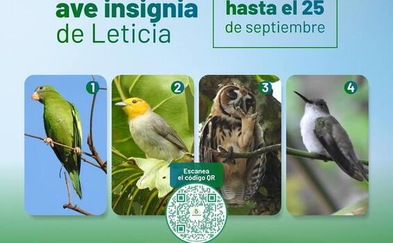 ¡Leticia elige su ave símbolo ¡Leticia elige su ave símbolo