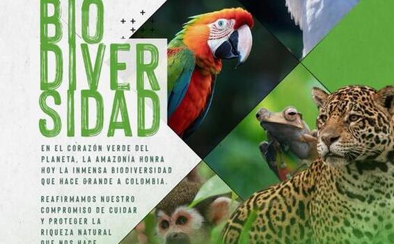 el Día Nacional de la Biodiversidad en Colombia el Día Nacional de la Biodiversidad en Colombia