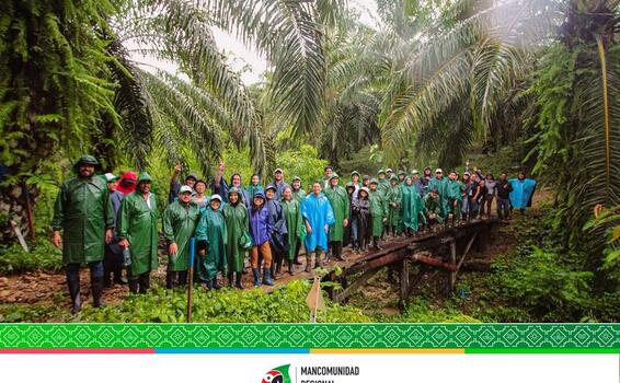 Manejo regenerativo de palma aceitera: un modelo inspirador desde la finca de doña Rosario en el corazón de la Amazonía peruana Manejo regenerativo de palma aceitera: un modelo inspirador desde la finca de doña Rosario en el corazón de la Amazonía peruana