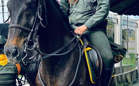 Carabineros de la Policía Nacional en el Amazonas conmemoran 19 años de servicio al campo colombiano
