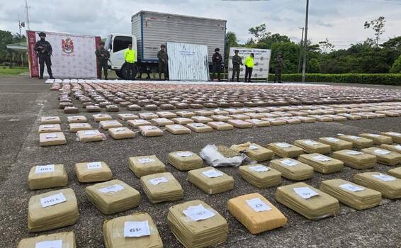 En Puerto Asís, Policía incauta más de una tonelada y media de marihuana con destino a la triple frontera Putumayo En Puerto Asís, Policía incauta más de una tonelada y media de marihuana con destino a la triple frontera Putumayo