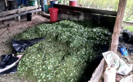 ESTRUIDOS 15 LABORATORIOS PARA PROCESAMIENTO DE PASTA BASE DE COCA, DEL GAO “COMANDOS DE FRONTERAS” EN PERÚ ESTRUIDOS 15 LABORATORIOS PARA PROCESAMIENTO DE PASTA BASE DE COCA, DEL GAO “COMANDOS DE FRONTERAS” EN PERÚ