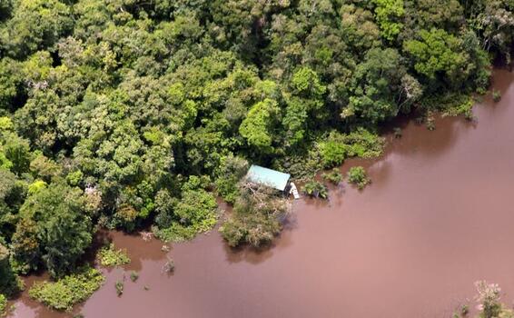 Fuerzas Militares y de Policía detienen daño ambiental en Amazonas Fuerzas Militares y de Policía detienen daño ambiental en Amazonas