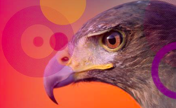 Nueva campaña de espionaje de día cero en Microsoft atribuida a Stealth Falcon Nueva campaña de espionaje de día cero en Microsoft atribuida a Stealth Falcon