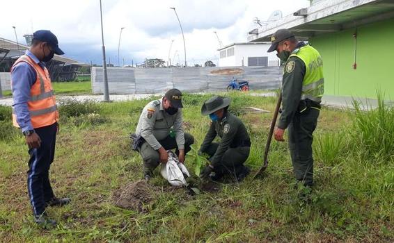 DURANTE LA CRISIS DEL COVID-19 CONMEMORAMOS EL DÍA MUNDIAL DE LA TIERRA, BUSCANDO APROVECHAR EL INCREMENTO Y LA CALIDAD AMBIENTAL 