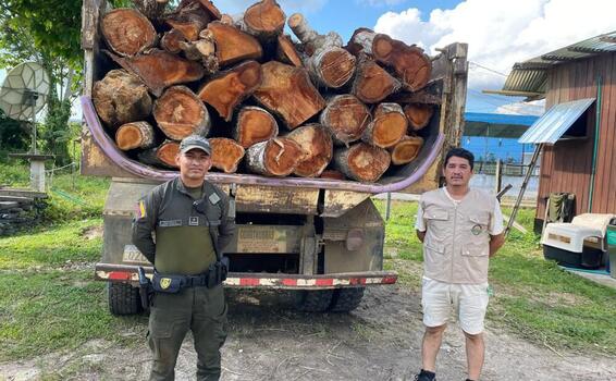 Incautación de madera ilegal en el Amazonas fortalece la protección del medio ambiente
