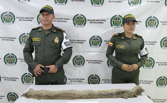 Protección ambiental 