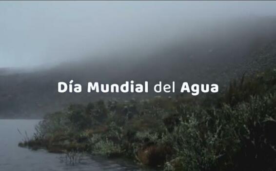 Canal Trece y Cantoalagua se unen para celebrar el Día Mundial del Agua Canal Trece y Cantoalagua se unen para celebrar el Día Mundial del Agua