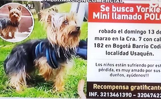 Se busca - Recompensa