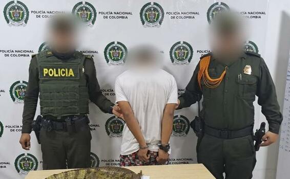 EN FLAGRANCIA, FUE CAPTURADO UN HOMBRE QUE TRANSPORTABA UNA ESPECIE DE REPTIL (BABILLA) EN FLAGRANCIA, FUE CAPTURADO UN HOMBRE QUE TRANSPORTABA UNA ESPECIE DE REPTIL (BABILLA)