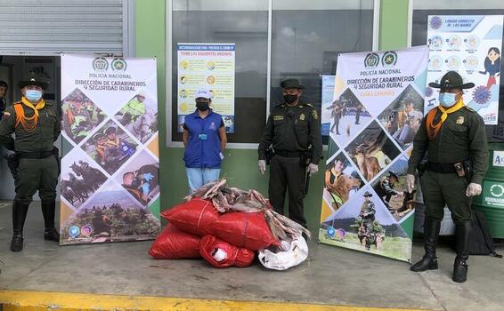 POLICÍA INCAUTA MÁS DE UNA TONELADA DE PESCADO MOTA, EL CUAL ES CONTROLADO POR ALTOS NIVELES DE MERCURIO