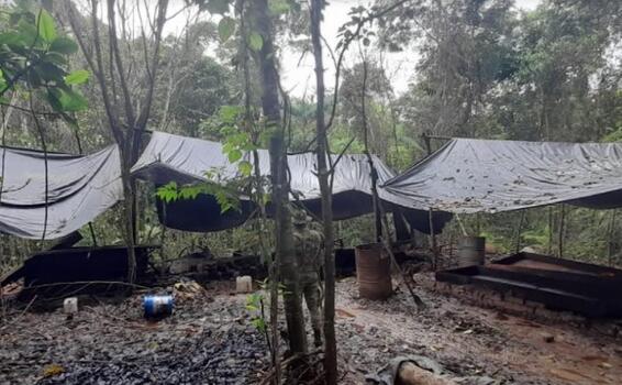 DESTRUIDOS 20 LABORATORIOS PARA EL PROCESAMIENTO DE PASTA BASE DE COCA EN EL SUR DEL PAÍS DESTRUIDOS 20 LABORATORIOS PARA EL PROCESAMIENTO DE PASTA BASE DE COCA EN EL SUR DEL PAÍS