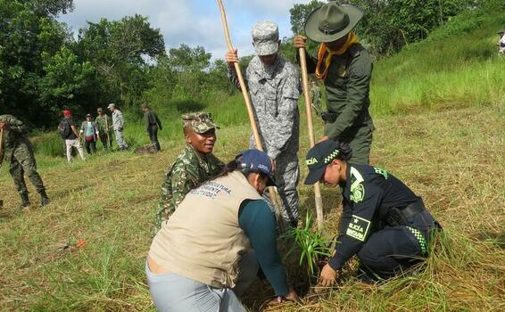Trabajo interinstitucional permite siembra de 1500 plántulas en el Amazonas