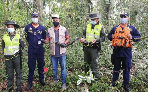 LIBERAMOS ESPECIES VIVAS A SU HÁBITAT NATURAL EN LA SELVA AMAZÓNICA LIBERAMOS ESPECIES VIVAS A SU HÁBITAT NATURAL EN LA SELVA AMAZÓNICA