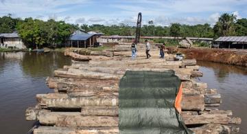 image for Operativo en la localidad de Mazán por Material Ambiental