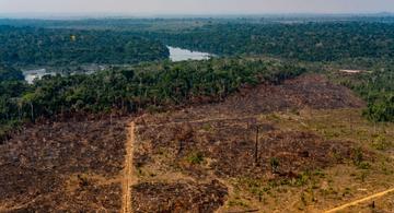 image for Desmatamento na Amazônia em junho é o maior em 5 anos