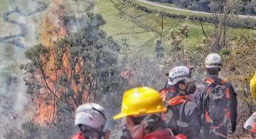 Personal de bomberos apagando incendio forestal