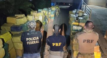 image for PF e PRF apreendem quase 18 toneladas de maconha