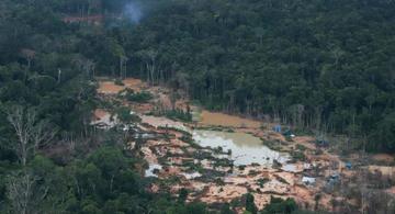 image for Nuevo récord de deforestación en Amazonía brasileña