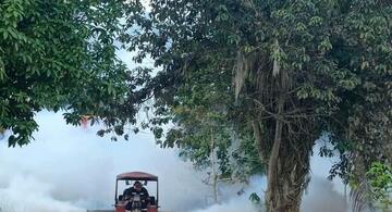 image for Fumigación de todo el campus universitario