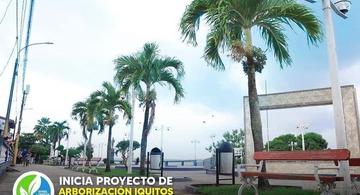 image for Lanzamiento del proyecto arborización Iquitos metropolitano