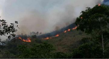 image for Incendios forestales en varios municipios de Cundinamarca 
