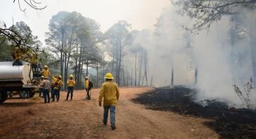 image for Controlado incendio en Tejupilco