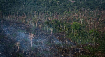 image for Amazonia brasileña el mayor número de incendios desde 2007