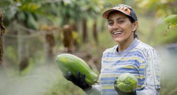 image for Gestión del riesgo y aseguramiento son tema del foro virtual sobre agro