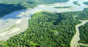 image for Cinco prioridades para salvar la Amazonía