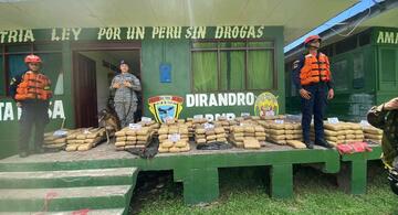 image for Incautada cerca de 500 kilogramos de marihuana 