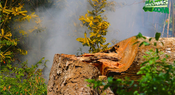 image for Ministério confirma recursos para combate a desmatamento na Amazônia