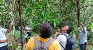 image for Fortalecimientos  de Cadena de Valor para productores de la Amazonia