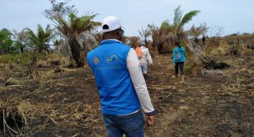 Personas caminando por una zona consumida por un incendio ya controlado