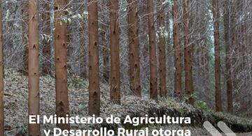 image for Ministerio recibe proyectos de reforestación