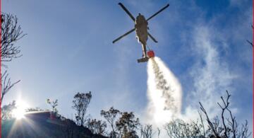 image for Nuevo incendio en los cerros orientales durante jueves santo