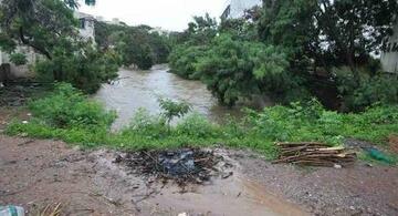 image for Chuva não dá trégua e Defesa Civil amplia alerta de risco