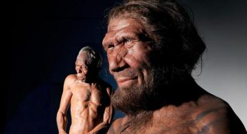 Denisovanos y neandertales en una recreacion en computador